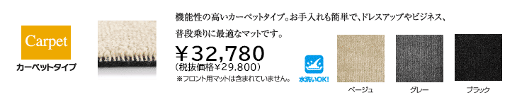 カーペットタイプ 29800円